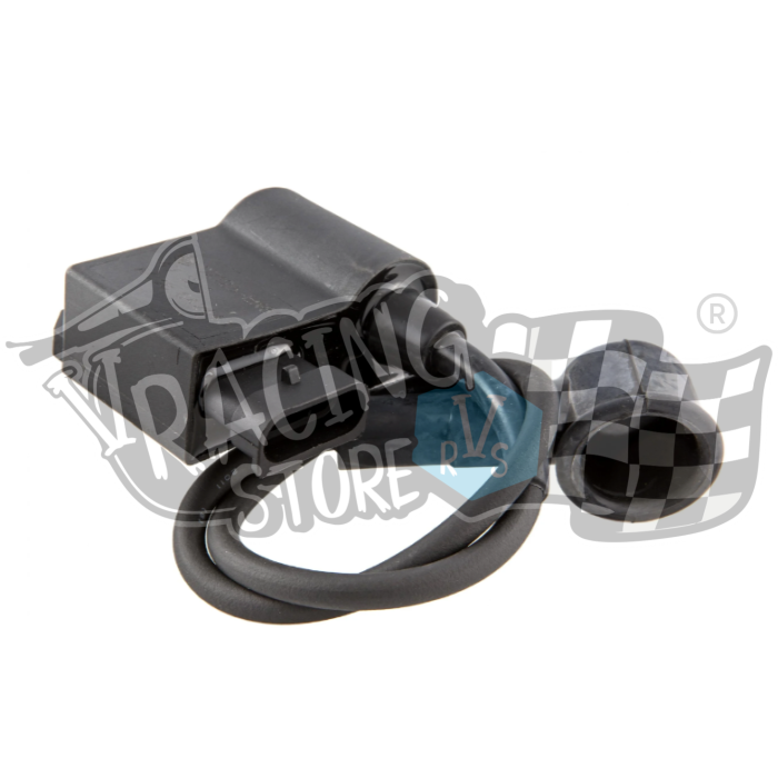 Bobine CDI PX 2011 Bobine externa / CDI Vespa PX 125 2011»» PIAGGIO - Image 1