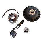 Kit Ignição/Eletrónico 12V PINASCO FLYTECH Vespa RALLY 180/200